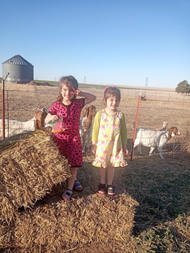 img_20200305_173218_2-1